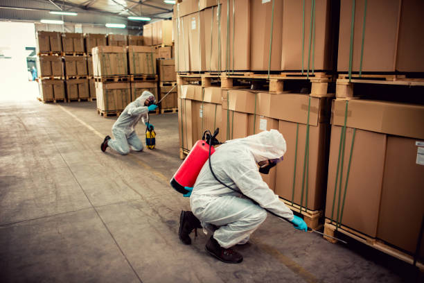 Best Pest Inspection Near Me  in Festus, MO