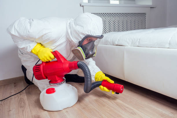 Best Pest Prevention Services  in Festus, MO